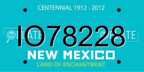 IO78228 New Mexico License Plate