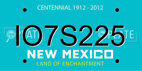 IO7S225 New Mexico License Plate