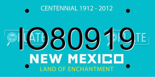 IO80919 New Mexico License Plate