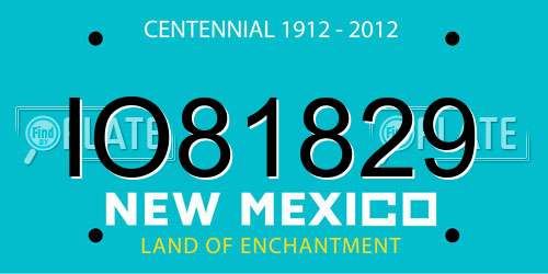 IO81829 New Mexico License Plate