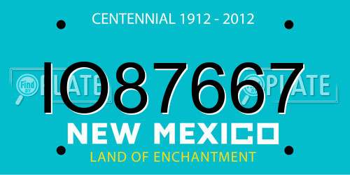 IO87667 New Mexico License Plate