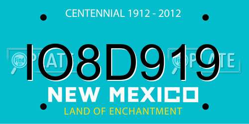 IO8D919 New Mexico License Plate