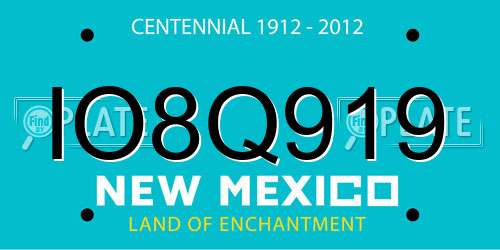 IO8Q919 New Mexico License Plate