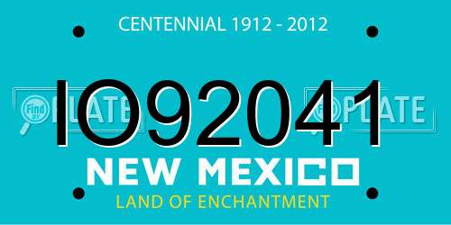 IO92041 New Mexico License Plate