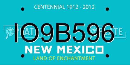 IO9B596 New Mexico License Plate