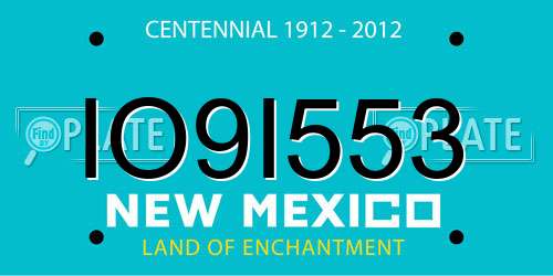 IO9I553 New Mexico License Plate