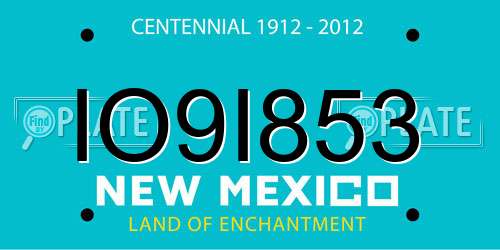 IO9I853 New Mexico License Plate