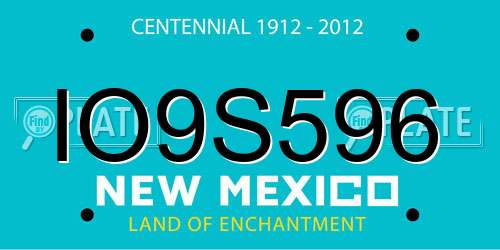IO9S596 New Mexico License Plate