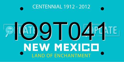 IO9T041 New Mexico License Plate