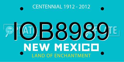 IOB8989 New Mexico License Plate