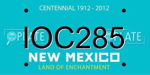 IOC285 New Mexico License Plate