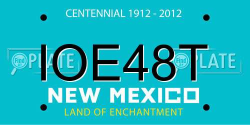 IOE48T New Mexico License Plate