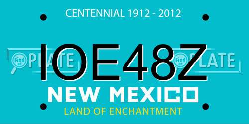 IOE48Z New Mexico License Plate