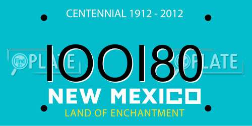 IOOI80 New Mexico License Plate