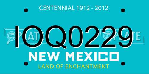 IOQ0229 New Mexico License Plate
