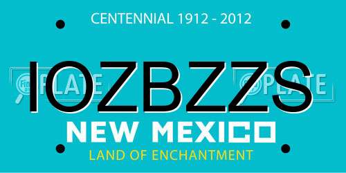 IOZBZZS New Mexico License Plate