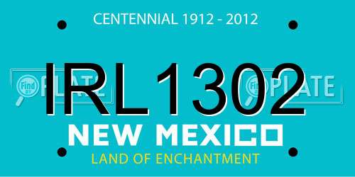 IRL1302 New Mexico License Plate