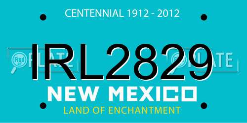 IRL2829 New Mexico License Plate