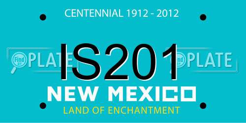IS201 New Mexico License Plate