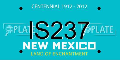 IS237 New Mexico License Plate