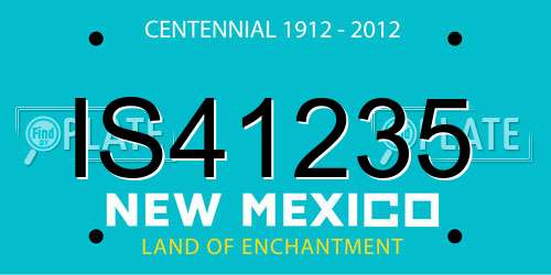 IS41235 New Mexico License Plate
