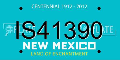 IS41390 New Mexico License Plate