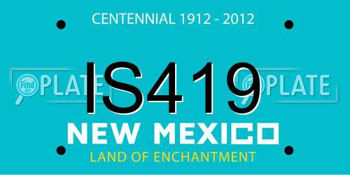 IS419 New Mexico License Plate