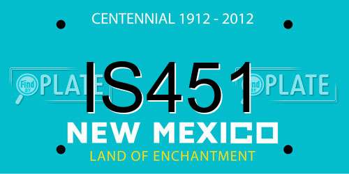 IS451 New Mexico License Plate