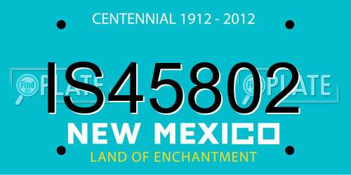 IS45802 New Mexico License Plate