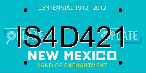 IS4D421 New Mexico License Plate