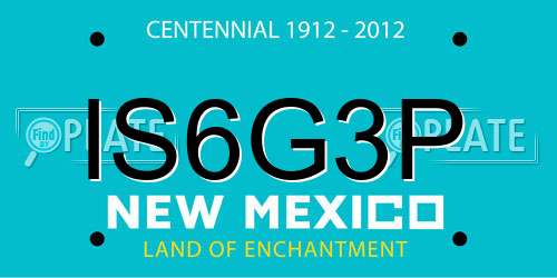 IS6G3P New Mexico License Plate