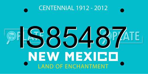 IS85487 New Mexico License Plate