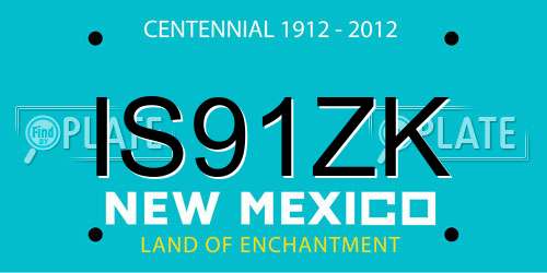 IS91ZK New Mexico License Plate