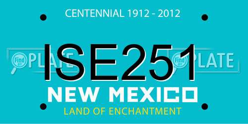 ISE251 New Mexico License Plate