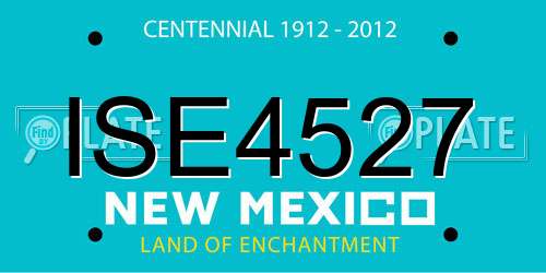 ISE4527 New Mexico License Plate