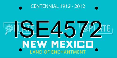 ISE4572 New Mexico License Plate