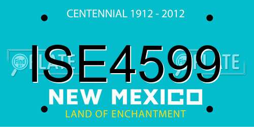 ISE4599 New Mexico License Plate