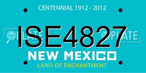 ISE4827 New Mexico License Plate