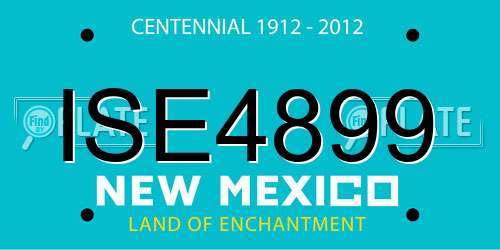 ISE4899 New Mexico License Plate