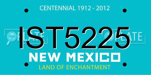 IST5225 New Mexico License Plate