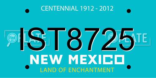 IST8725 New Mexico License Plate