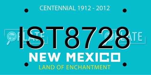IST8728 New Mexico License Plate