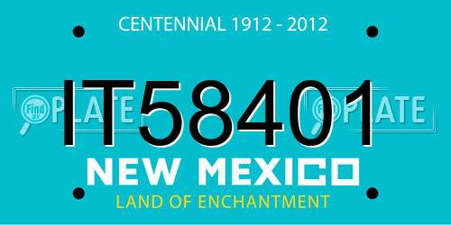 IT58401 New Mexico License Plate