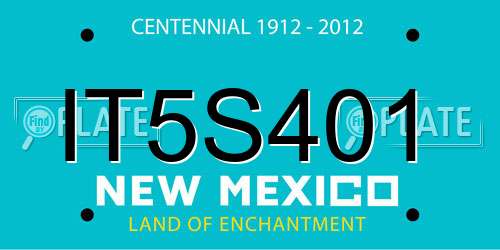IT5S401 New Mexico License Plate