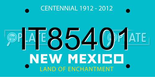 IT85401 New Mexico License Plate