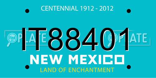 IT88401 New Mexico License Plate