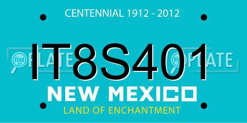 IT8S401 New Mexico License Plate