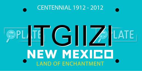 ITGIIZI New Mexico License Plate