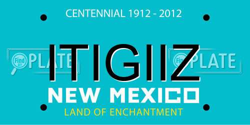 ITIGIIZ New Mexico License Plate