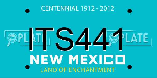 ITS441 New Mexico License Plate